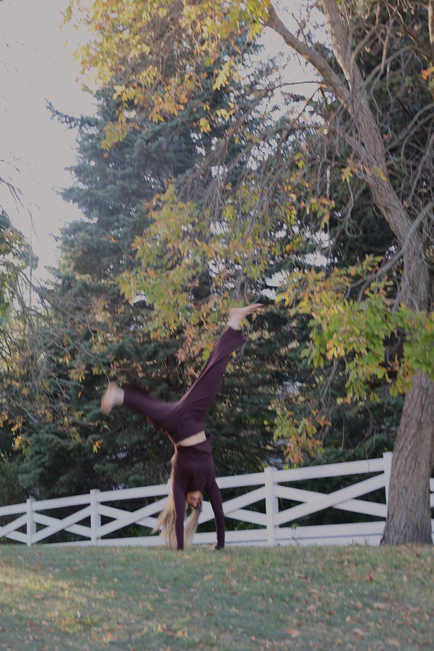 The Oak Pant